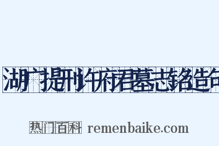 湖广提刑许府君墓志铭造句是什么意思的图片
